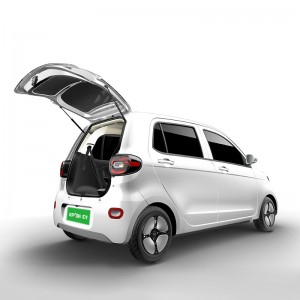 Henrey Tiger FEV2-seat new energy electric vehicle