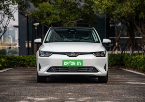 WM E5 is a cost effective new energy vehicle