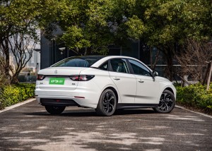 WM E5 is a cost effective new energy vehicle